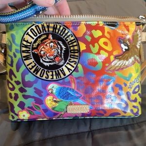 Consuela beautiful colored purse!